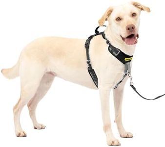 PetSafe Ea