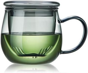 Unbreakable Glass Tea Cup with Infuser and Lid - 17oz Mug for Loose Leaf Tea, Infusion Mug with Glass Filter and Lid