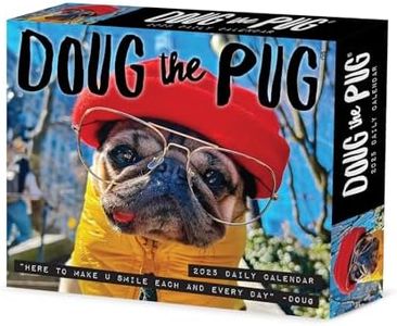 Willow Creek Press Doug the Pug -USA Daily 2025 Box/Desk Calendar (5.86" x 4.72")