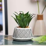 SATYAM KRAFT 1 Pc Mini Artificial Green Succulent with Ceramic Pot Exquisite Faux Plant to Add Charm to Your Home, Perfect for Diwali Gifting, Elegant Shelf, and Office Desk