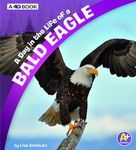 A Day in the Life of a Bald Eagle: A 4D Book