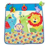 Fisher-Price Activity Blanket