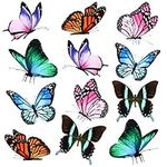 12 Pieces Butterfly Magnets Butterf
