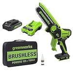 Greenworks 24V 6" Brushless Mini Ch