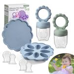 Baby Fruit Food Feeder & Mini Popsicle Ice Tray Set, BPA Free Silicone Baby Feeder for Safe Solid Food Feeding, Breastmilk Popsicle Molds for Cooling Relief, 5 Month+ (Spring)
