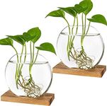 Kingbuy Desktop Round Glass Planter