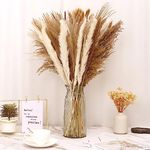 120Pcs Dried Small Reeds Set for Vase Natural Dried Pampas Grass Dried Reed Bunny Tails Bouquet Boho Dried Small Reeds for Dried Flowers Arrangements Home Decor