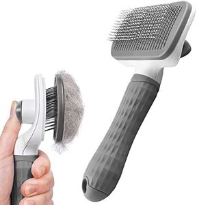 Dog Brush 