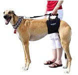 GINGERLEAD Dog Sling Hip Lift Harness, Tall Male fits Tall, Lean Dogs Like Greyhounds or Great Danes. Padded Support Aid to Help Pets Up or Down Stairs, in or Out of Vehicles. Made in U.S.A.