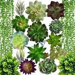 Airbin Pack of 17 Artificial Succulents Succulent Faux Succulent Floral Arrangement Picks Hanging String of Pearls Plant Three Dimensional Decoration Combination Flocking Realistic Succulents Plants