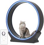 Smart Cat Wheel with Multifunctiona