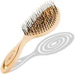 CHIARA AMBRA Bio Friendly Detangling Brush - No Tugging Detangler for Thick & Curly Hair or Extensions - Vegan Vent Hairbrush - Orange