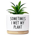 Msyueos Sometimes I Wet My Plant - 3.5Inch Ceramic Succulent Plant Pot for Home Office Desktop Decor, Small Planter for Succulents, Indoor Planter for Friends, Coworker Gift - Plants Not Included