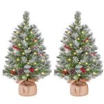 Yaheetech 2Pcs Pre-Lit Artificial Mini Tabletop Christmas Tree, 2ft/66cm Frosted Battery Operated Small Xmas Trees with 35 LED Lights, 42 Red Berries & 6 Pinecones for Festival Decoration