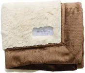 SARANONI Security Blankets for Babies Super Soft Boutique Quality Lush Luxury (Ivory & Gingersnap, Mini 15" x 20")
