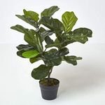 HOMESCAPES Artificial Fiddle Leaf Tree 70 cm Tall with Wood Effect Trunk Replica Plant Ficus Fig Tree in Black Pot with Faux Moss Indoor Realistic Plant for Home or Office