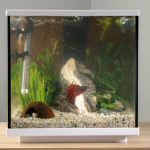 Interpet Aqua Cube 28L Glass Aquarium – LED Lighting & Easy Care Filter, White