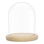 BELLE VOUS Glass Dome Cloche Bell Jar with Natural Wooden Base - 16.2cm / 6.38 Inches Tall - Clear Decorative Tabletop Display Case with Tray for Fairy Lights, Centrepieces and Antiques