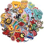 60pcs Random Assorted Styles Embroi