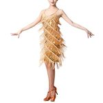 Women Salsa Latin Dance Dress Sequin Tassel Fringe Flapper Dress 1920s Gatsby Cocktail Dress Tango Ballroom Dancing Costume, Gold-tassel, X-Large