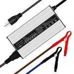 DEESPAEK Lithium Battery Charger 12V LiFePO4 Battery Charger with Alligator Clips 14.6V 20A,for 12 V Lithium Iron Phosphate Batteries, Support Fast Charging