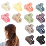 FAMEZA 12 PCS PREMIUM Small Hair Claw Clips for Women Girls,12 Pcs Mini Tiny Hair Claw Clips for Thin/Thick/Medium/Fine Hair,0.9 Inch Little Cute Hair Jaw Clips Clamps Matte Rectangle Nonslip