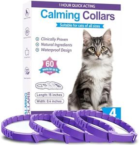 Cat Calmin