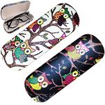 AWYY Zeaying041 Hard Shell Glasses Case with Lid for Storing Glasses and Sunglasses, Pack of 2, black, L