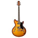 EART E-335 6 String Semi-Hollow-Body Electric Guitar, Right, Sunburst, Full,Playing Jazz