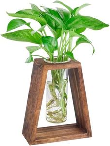 Mikiwon Plant Terrarium Desktop Glass Planter Test Tube Vase with Trapezoidal Retro Wooden Stand, Tabletop Propagation Station for Hydroponics Plants Home Office Wedding Decoration