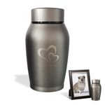 QESSUVNC Ashes Urn Ashes Keepsake Urns for Ashes Adult Small,Pet Urns for Dogs Ashes Cat Urns for Ashes UK Dog Urn,Small Urns for Human Ashes Stainless Steel Waterproof Cat Urn