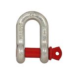 Conclood India D Shackle | Screw Pin Anchor Shackle | Heavy Duty Alloy Steel | Used for Towing & Pulling | Ability to Handle Multiple Lifting Loads (2 Ton).