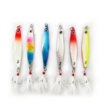 6 Pcs Fishing Lures Set, Fishing Baits Kit Spinner Hard Bait Artificial Bait Floating Lures for Salmon Trout Lure Baits With Treble Hooks