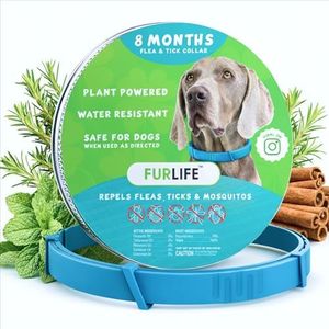 FurLife Flea and Tick Collar for Dogs – Waterproof Blue Dog Collar, Pet Supplies for Tick and Flea Prevention for Dogs, Safe for All Breeds