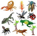 SUPER TOY 8 Insect Bug Figurines Animals Educational Action Toys Play Set for Kids Boys and Girls Birthday Gift