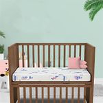 Centuary Mattresses Beddy Nest 100% Natural Latex Coir, Cot Mattress for Baby,Lightweight Crib Mattress for Kids,Hygiene Baby Bed Mattress with Waterproof | 1 Year Warranty (100 * 56 * 10 cm)