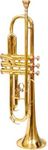 Rmze Standard TRUM-2445 Golden Bb Trumpet Set - Trumpets for Beginner or Advanced Players with Hardcase, 7C Mouthpiece, Value Oil, Gloves - Brass Musical Instruments