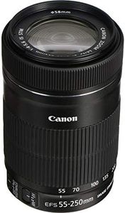 Canon EF-S 55-250mm F4-5.6 is STM