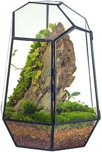 NCYP 25cm Height Close Geometric Terrarium with Door, Black Irregular Tall Glass Planter Handmade, Modern Succulent Cacti Flower Pot, Home DIY (Plants and Props NOT Included)