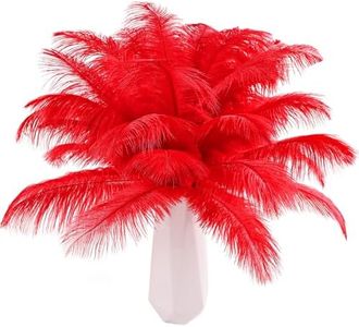 THARAHT Red Ostrich Feathers 24pcs Natural Bulk 10-12Inch 25cm-30cm for Crafts Wedding Party Centerpieces Halloween and Home Decoration Feathers
