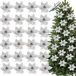 Fvviia 24 Pack 5 Inch Christmas Tree Decorations Glitter Poinsettia Christmas Flowers Artificial Silk Flowers Picks with 24 Clips for Xmas Party Tree Ornaments Decor (Sliver)