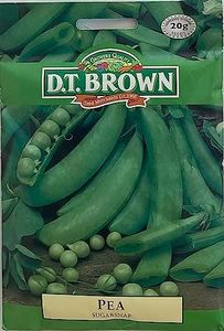 DT Brown Pea Sugar Snap Seeds