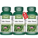 Milk Thistle Extract 25:1 150mg (3750mg raw herb) 3 X 120 Capsules 80% Silymarin Liver Health Detoxification Supplement Support Gallbladder Natural Cleanse (3 Bottles)