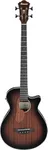 Ibanez AEGB24E AEG Acoustic-electri