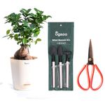 Bonsai Tool Kits