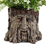 Bits and Pieces - Tree Face Garden Planter - Durable Polyresin Indoor-Outdoor Urn for Plants - Forest Inspired Whimsical Garden Décor