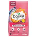 Beyond Superfood Blend Natural Dry Dog Food, Wild Caught Salmon, Egg & Pumpkin - 10.2 kg Bag