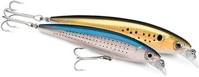 Rapala X-Rap Saltwater 12 Fishing L