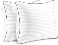 Yettbea Throw Pillows Insert, 26'' 