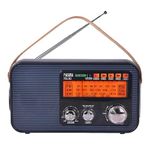 PAGARIA 3 Band FM/AM/SW DSP Portable Radio with 5 Watts, Torch, Bluetooth, USB/TF, Earphone, Aux, Model: PG-181